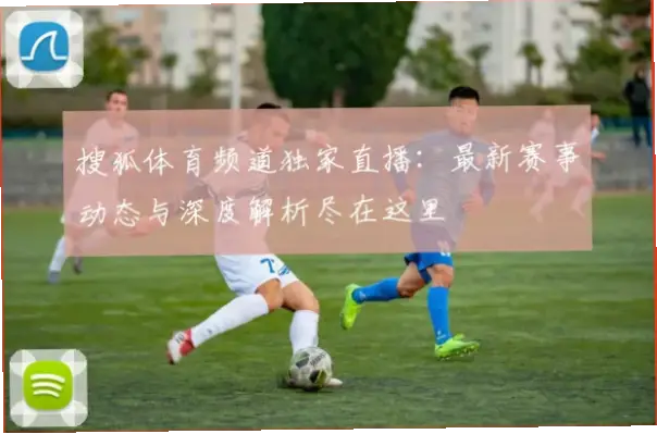 搜狐体育网：告别观赛痛点，一站式搞定赛事直播与数据
