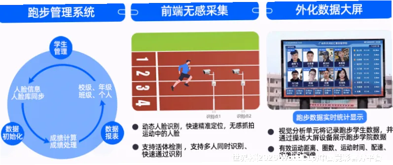 使用方法与注意事项